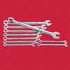 CRAFTSMAN®/MD Professional 10-Piece nation Standard Wrench Set
