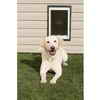 PetSafe Premium Wall Entry Alluminum Pet Door Large