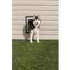 PetSafe Premium Wall Entry Alluminum Pet Door Medium