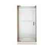 American Standard Euro Shower Door with D Handle 23-3/4 Inch x 26-1/4 Inch, Clear Glass