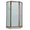 American Standard Neo-Angle Doors, 16-3/4 Inch x 24 Inch x 16-3/4 Inch x 72 InchH, Hammered Glass