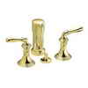 Kohler Devonshire Vertical Spray Bidet Faucet In Vibrant Polished Brass