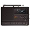 Sangean S.A.M.E Weather Alert Radio (CL100)