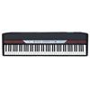 Korg 88-Key Digital Piano (SP-250) - Black