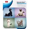 HandStands Yoga Cats Mouse Pad