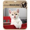 Handstands Eco Kitten Mouse Pad (13642E)