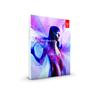 Adobe After Effects CS6 - English