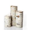 Whole Home®/MD Birch Bark Look Candle Holders (Set of 3) - Carriage House