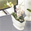 Whole Home®/MD Still Life Ceramic Oval Planter