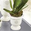 Whole Home®/MD Still Life Ceramic Planter Urn