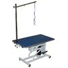 R. Rover Hydraulic Grooming Table