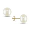 Miadora 8-8.5 mm Freshwater White Button Pearl Earrings in 10 K Yellow Gold