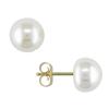Miadora 7-7.5 mm Freshwater White Button Pearl Earrings in 10 K Yellow Gold