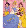 Disney "Princess" Toddler Blanket