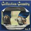 Artistes Variés - Collection Country, Vol.3