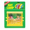Ant Camp
