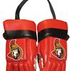 NHL Mini Gloves Ottawa Senators