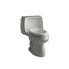 KOHLER Gabrielle(TM) Comfort Height(R) One-Piece Compact Elongated 1.28 Gpf Toilet
