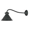 World Imports Dark Sky Kingston Collection 9 in. 1-Light Outdoor Wall Sconce in Rust
