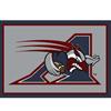 CFL 5 Ft. 4 In. x 7 Ft. 8 In. Montreal Alouettes Spirit Rug