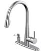 Abelane Single Handle Pull-out Kitchen Faucet