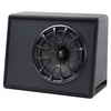 Energy 12" Car Subwoofer (ENC12B)