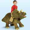 Playskool® Kota Triceratops