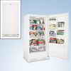 Frigidaire® 16.7 Cu ft Convertible Freezer or Refrigerator
