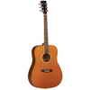 Tanglewood Dreadnought Acoustic Guitar (TW28-CSN)