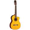 Takamine Classic Acoustic Guitar (EG128SC)