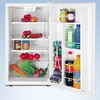 GE 4.0 Cu. Ft. Compact Refrigerator