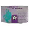 Hannah Montana Nintendo DS Folio Case