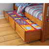 Bearrific by Build-a-Bear Trundle/Storage Box