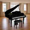 Adagio® Baby Grand Digital Piano