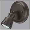 CANARM FLUSHMOUNT 1 LIGHT