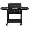 Master Chef Stationary Charcoal BBQ