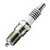 NASCAR Advantage Double Platinum Spark Plug, 2-pk.