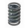 Sealed Power Valve Spring