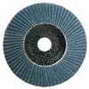 Mastercraft Flap Disc