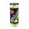 Wilson Advantage Tennis Balls