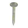 Stanley Bostitch 1 1/4 In. Roofing Nail