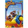 Koala Brothers Meet The Koalas DVD