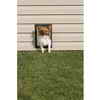 PetSafe Premium Wall Entry Alluminum Pet Door Small