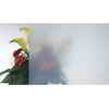 3M Fasara™ Interior Design Window Film - White Pearl