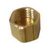 Watts Brass Compression Cap Less Insert