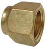 Watts Brass Short Forged Nut