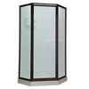 American Standard Neo-Angle Doors, 16-3/4 Inch x 24 Inch x 16-3/4 Inch x 72 InchH, Hammered Glass