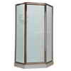 American Standard Neo-Angle Doors, 18-1/2 Inch x 24 Inch x 18-1/2 Inch x 72 InchH, Hammered Glass