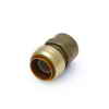 SharkBite Sharkbite Connector - 3/4 In. x 3/4 In. FNPT