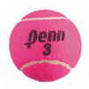 Penn Pink Tennis Balls
